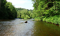 Urlaub im Bayerischen Wald